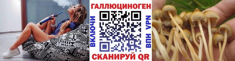Псилоцибиновые грибы Psilocybine cubensis  mega вход  Белая Холуница 