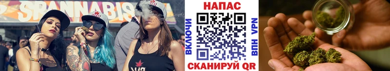 закладки Белая Холуница Канабис сатива